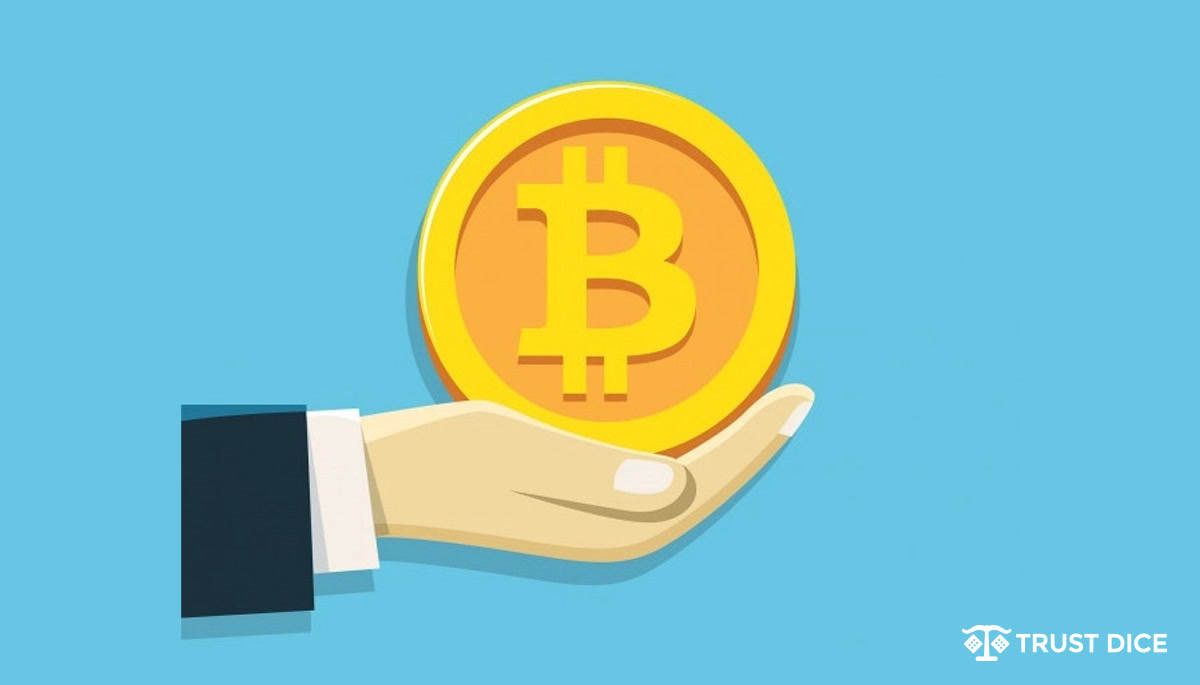 【2022】ビットコインを安全に保管しよう！おすすめのビットコインウォレット6選