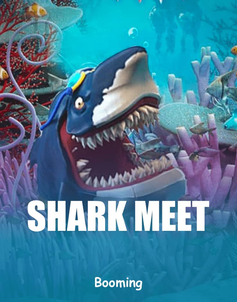 Shark Meet - Mode Demo Gratis & Mainkan Online