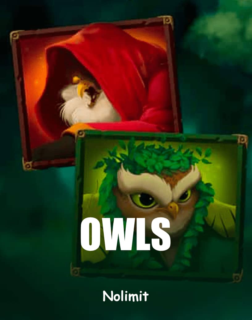 Owls Slot - Jogue por Dinheiro Real ou Demo Grátis | TrustDice