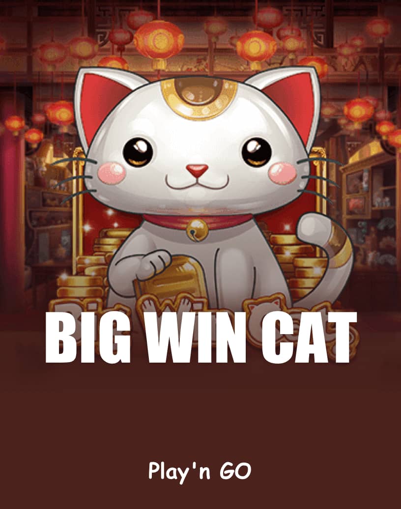 Big Win Cat Slot - Play for Real Money or Free Demo | TrustDice