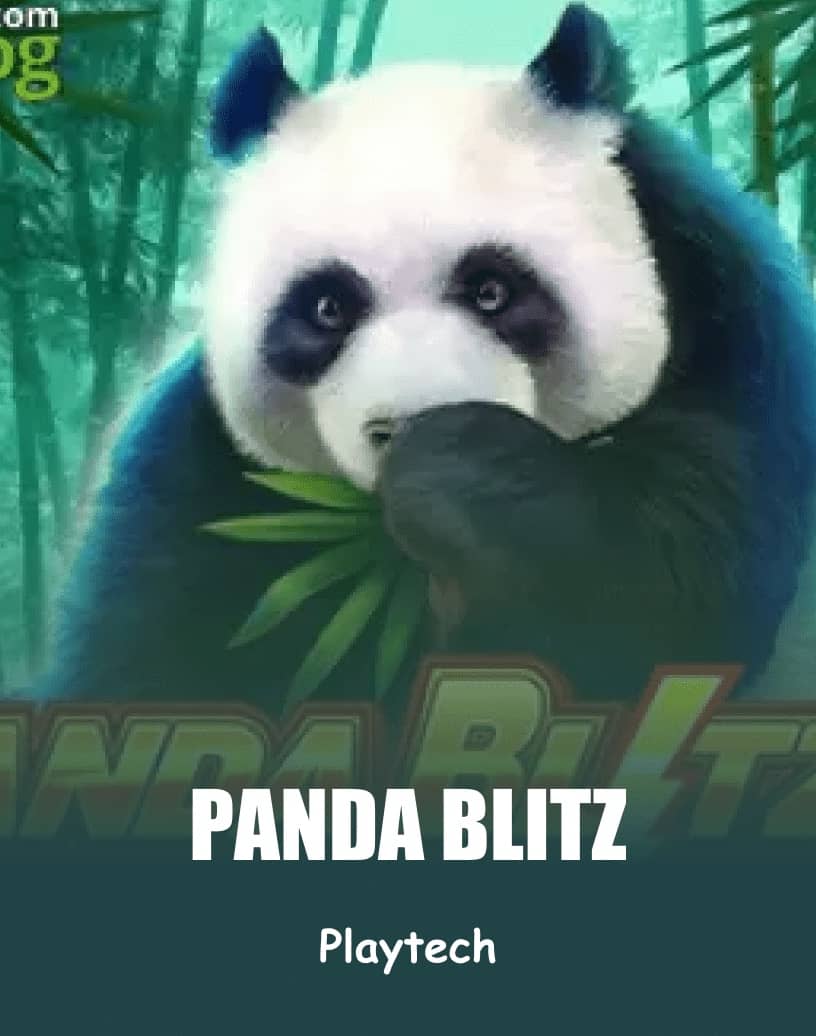 Panda Blitz Slot - Graj na Prawdziwe Pieniądze lub w Darmowe Demo | TrustDice